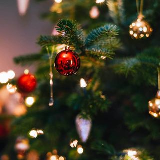 A close up of a Christmas tree with red and gold baubles on.