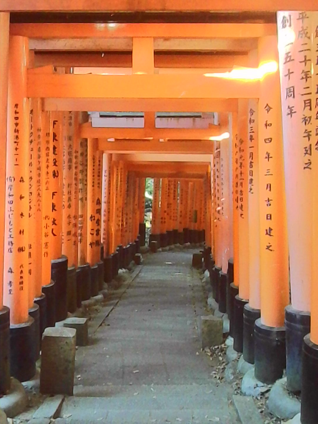 Row of orange torii gates at a Japanese shrine, with writing on the pillars.