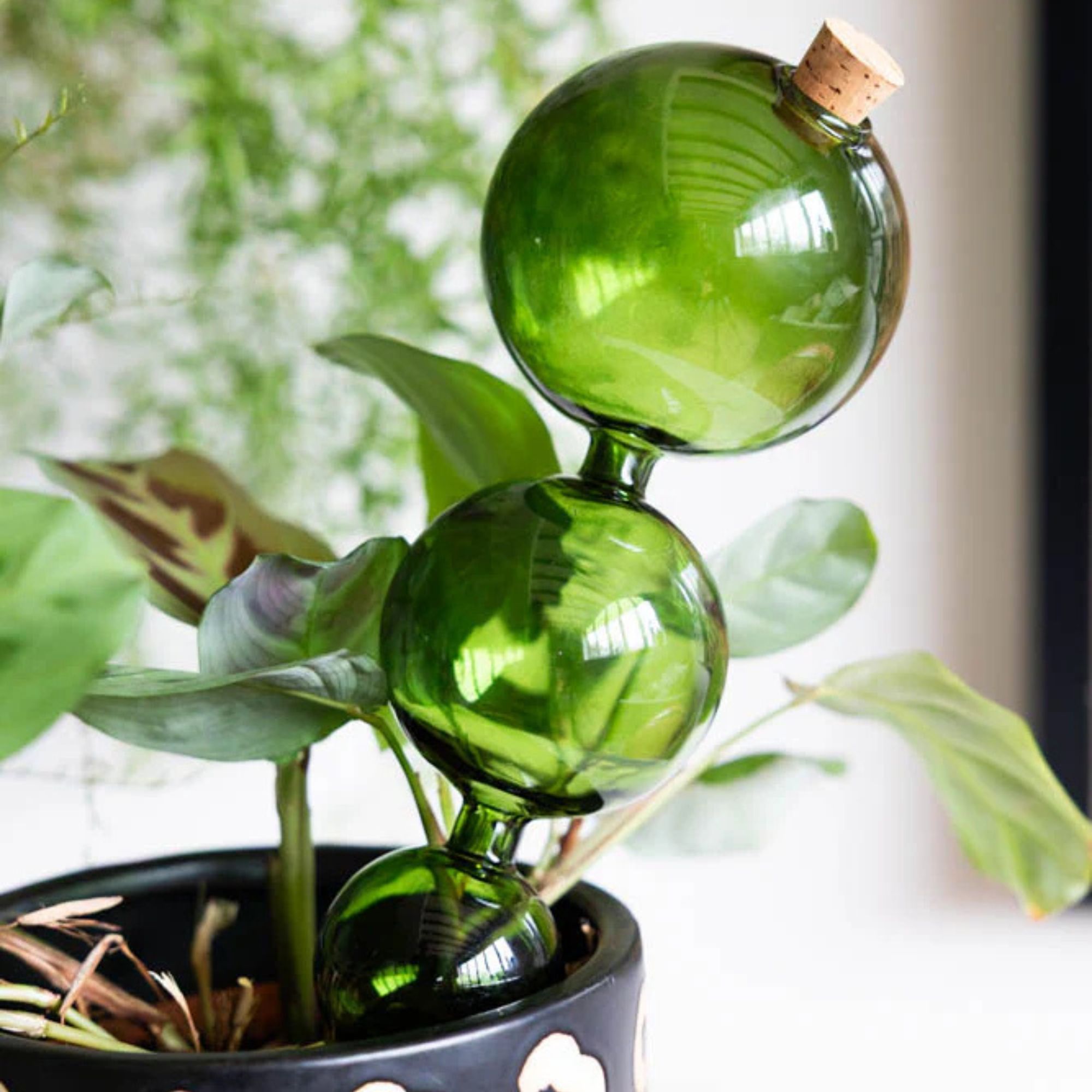 Rockett St George, Green Glass Self-Watering Pipette