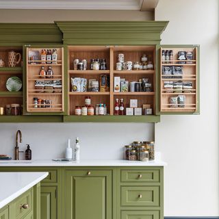 Open kitchen cabinets with organised contents