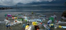 Plastic bottles and other pollutants floating on the surface, Lake of Geneva