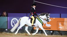 HorseNo732_HOYS_PN18_174433_237866992_343813161.jpg