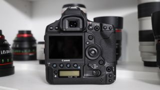 The Canon EOS-1D X Mark III's most unsung but useful feature? The illuminated buttons!