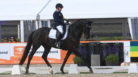 Pictured Swedish rider Louise Etzner Jakobsson and Goldstrike BJ at the Euopean Para Dressage Championships.