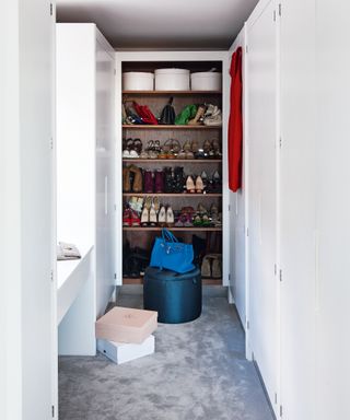 Large closet with shoes and boxes
