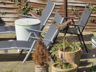 10x zoom on the OnePlus 8 Pro