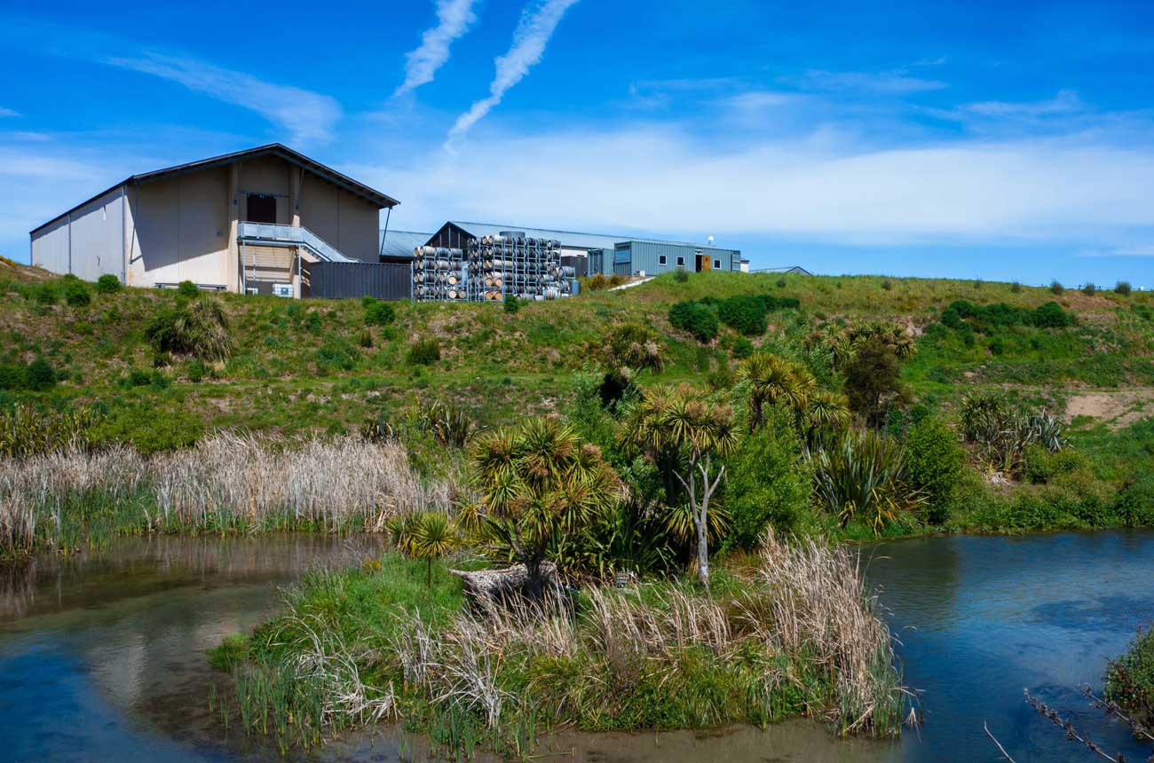 The Coterie winery with surrounding wetland