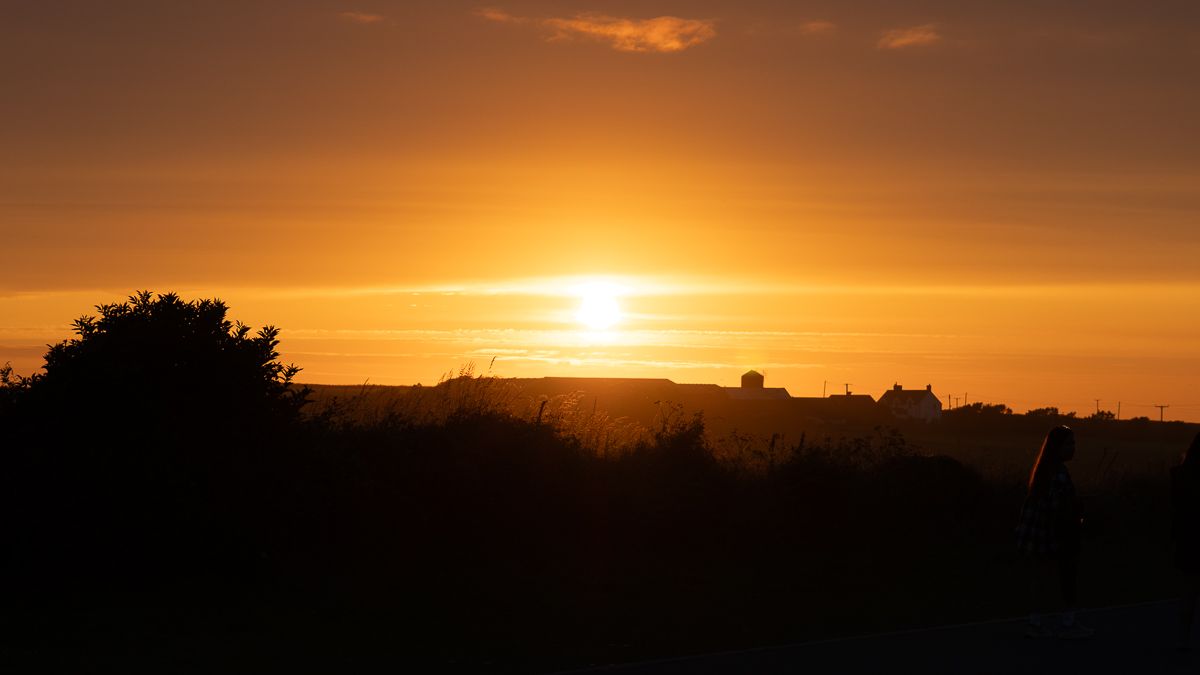 orange sunset silhouette
