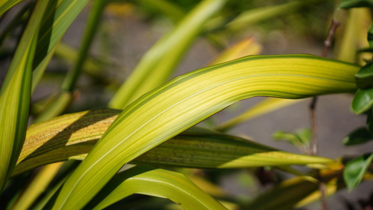 Tamron 35-100mm f/2.8 Di III VXD sample image