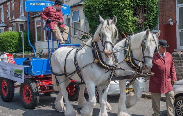 The horses and dray are being used to help clear student accommodation