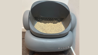 Neakasa M1 Open-Top Self Cleaning Cat Litter Box, one of the best self cleaning cat litter boxes