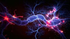 3d rendered image of Neuron cell network on black background. Interconnected neurons cells with electrical pulses. Conceptual medical image. 