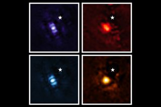 Four images of an alien planet in blue, red, purple and yellow colors