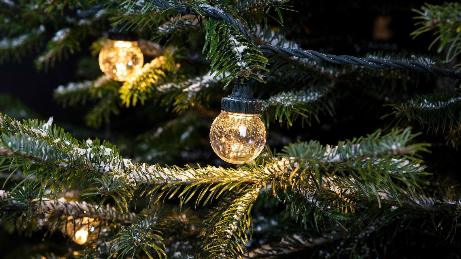 How to put lights on a Christmas tree like a pro Real Homes