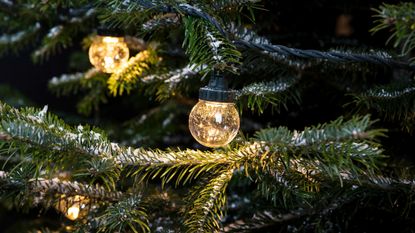 Festoon lights on a Christmas tree by Lights4fun