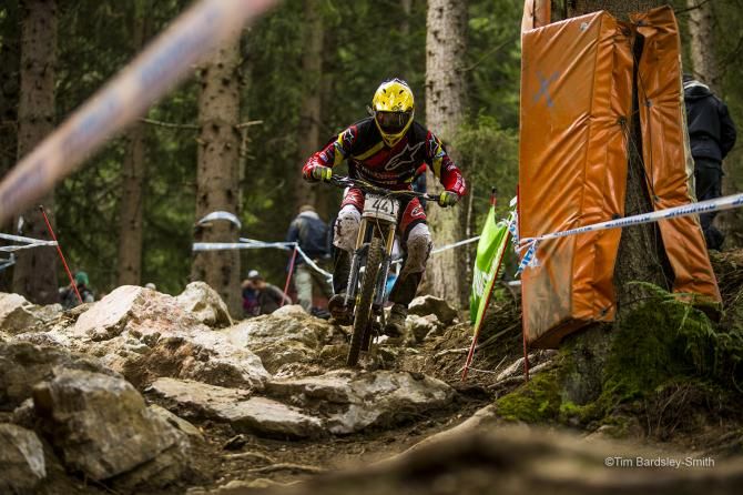 Avoiding trees on the way down