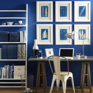 home office with blue wall and white picture frame with ladder shelves and wooden floor and desk with chair