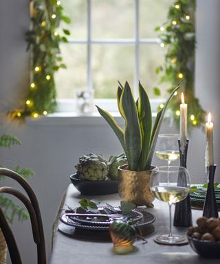 houseplants in winter with candle