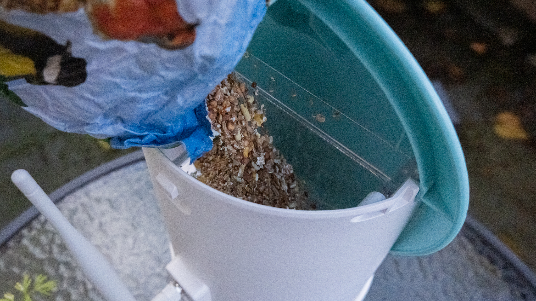 A Netvue Birdfy Feeder AI smart bird feeder