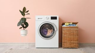 A white washing machine filled with clothes next to an overloaded clothes hamper and a plant