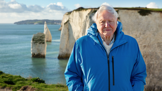 The legendary filmmaker brings knowledge and passion to "Ocean with David Attenborough"