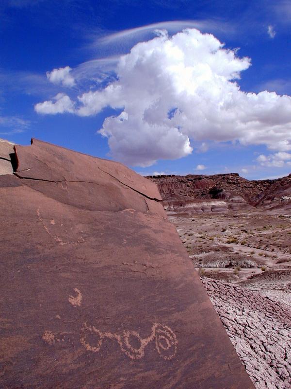 petroglyph-petrified-forest-110619