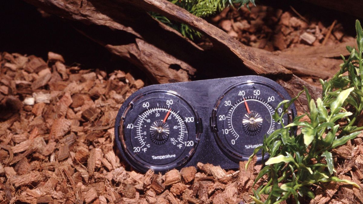 Snapshot of Small Reptile Tank Temperature Control System Setup