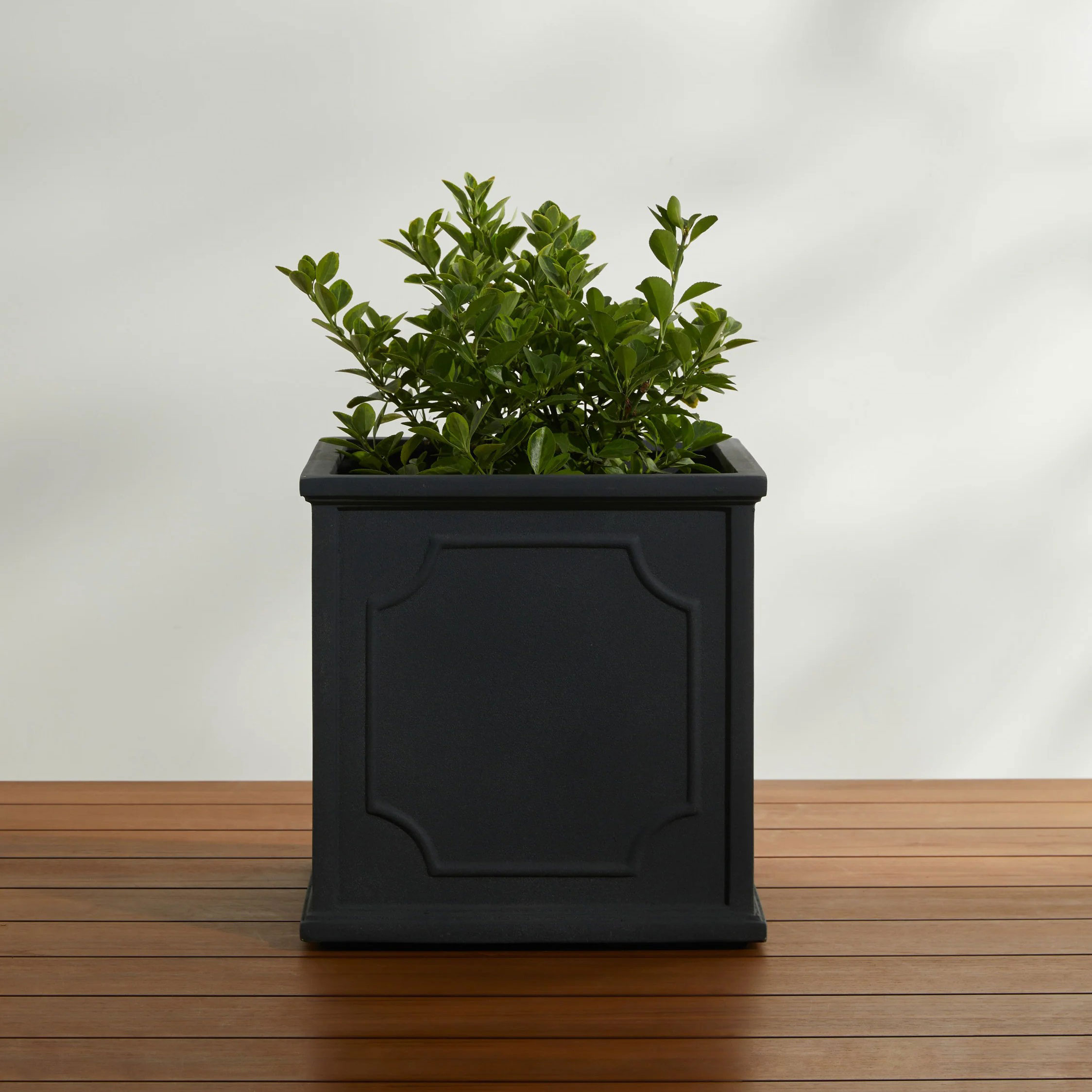 Cumberland Planter by Campania International