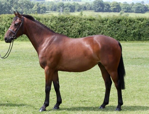 Comberton Coda