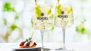 Nordesiño from Nordés Gin