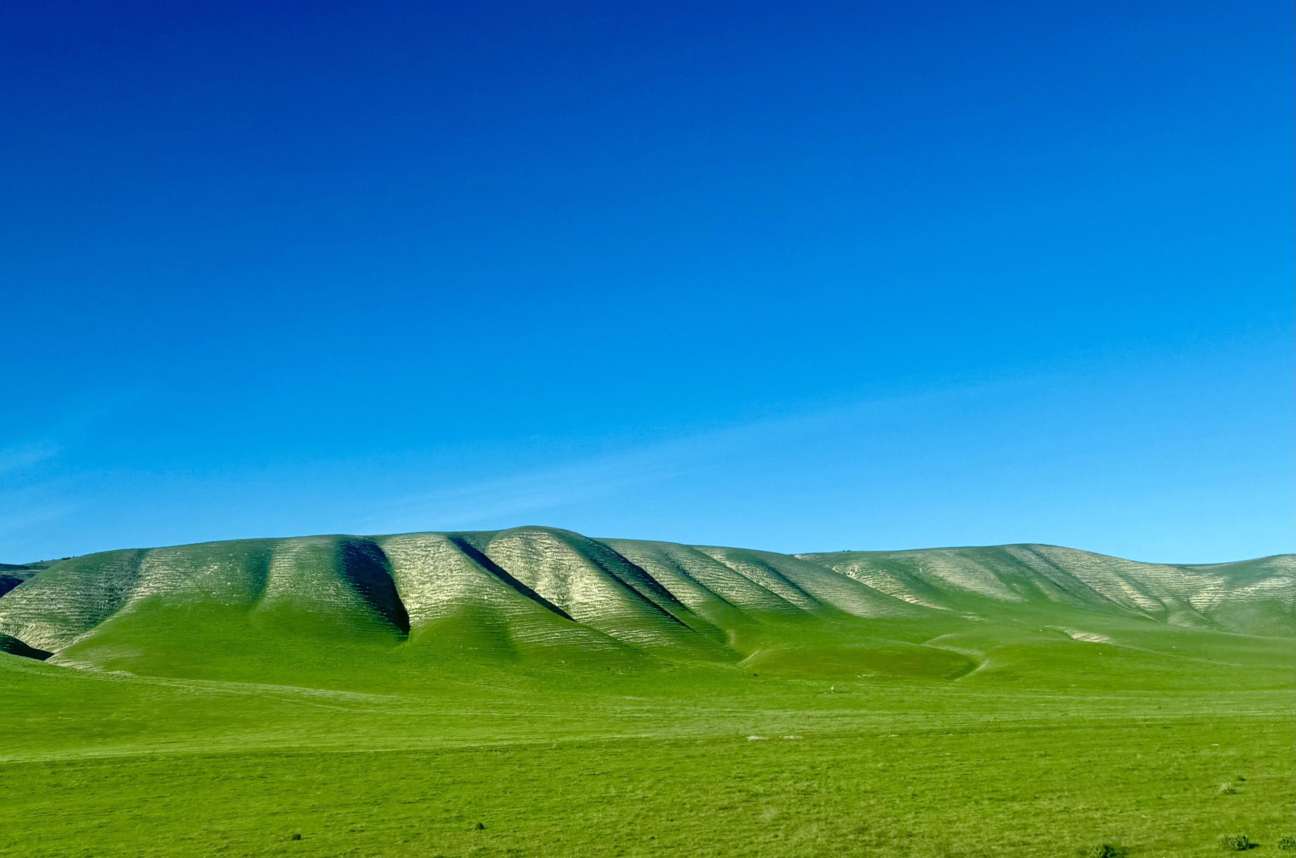 GuruShots - Nature March 2026