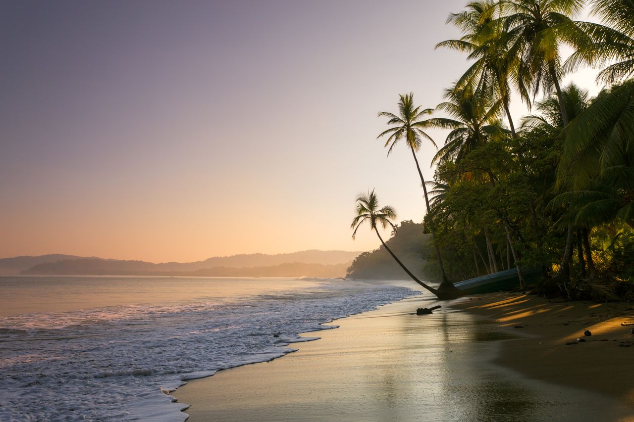 Sunset on palm fringed beach, Costa Rica.