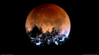 Trees silhouette a copper moon over New Mexico in this image of the total lunar eclipse of Jan. 31, 2018.