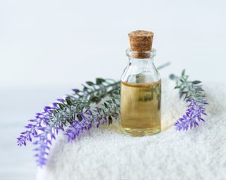 Lavender essential oil in a bottle with sprigs of lavender