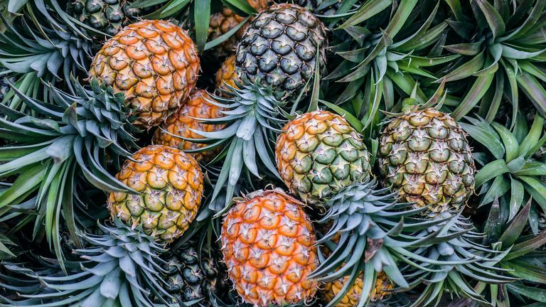 How to grow a pineapple