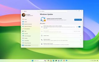 Windows 11 update settings