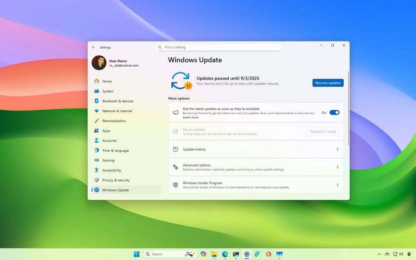 Windows 11 update settings