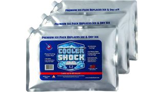 cooler ice pack