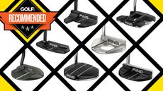 Best Ping Putters