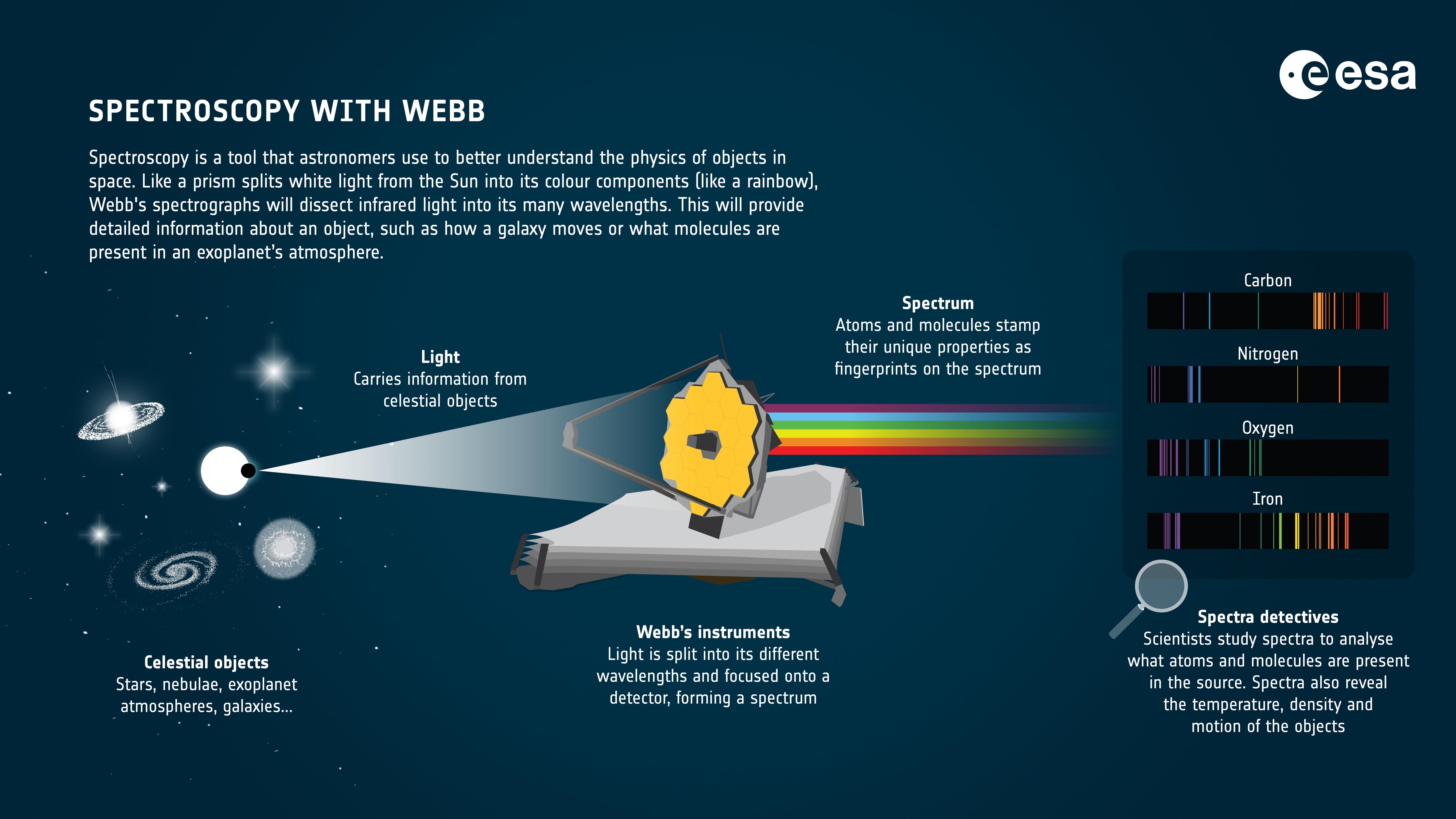 Spectrographs, such as NIRSpec, separate incoming stellar light into the spectra, allowing scientists to see the nature of stars.