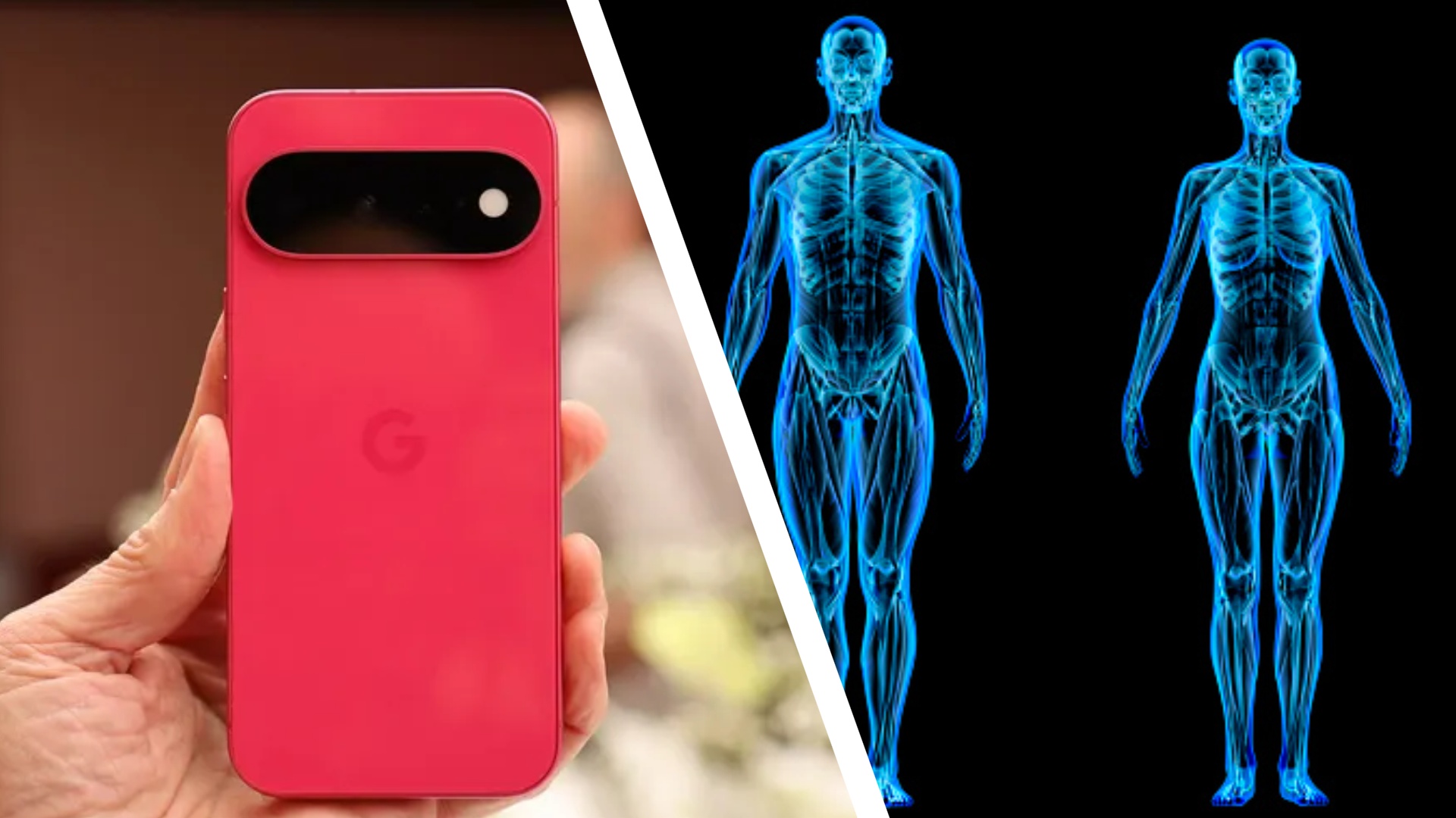 Google Pixel 11 phone in hibiscus and image of body scans