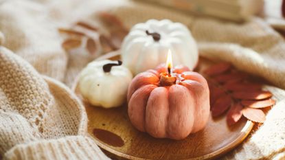 Three pumpkin candles on a wooden tray on a soft knitted cardigan, close up