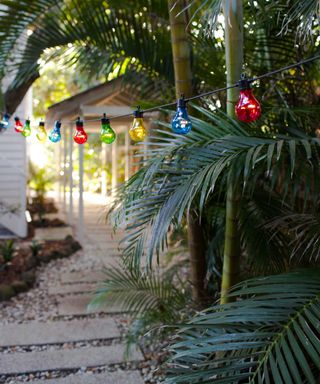 multicolored festoons along path from lights4fun