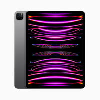 Apple iPad Pro 12.9 (256GB) £1249 £1209 at Amazon (save £40)