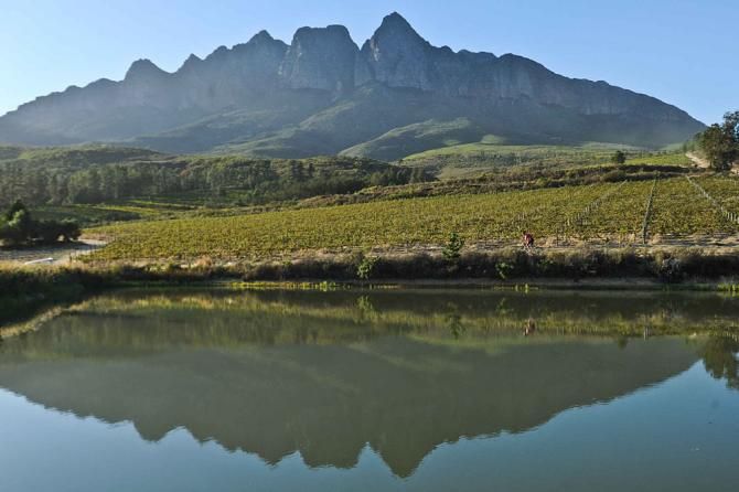 A rider rides through a local vineyard with the Suwe Suster Peaks in the background