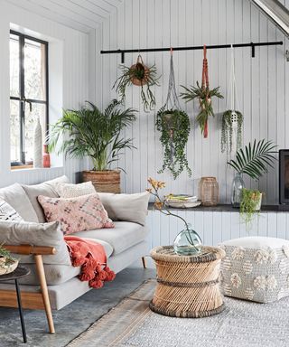 A grey sofa with patterned cushions in a living room with polished concrete floor with a rug. Shelf with house plants and rail with hanging baskets.