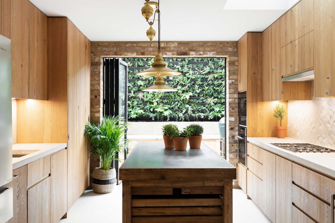 a kitchen open onto a backyard