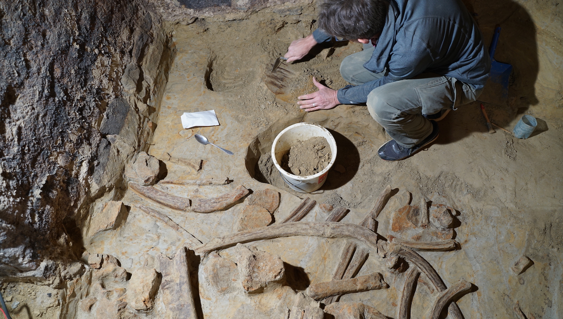 An archaeologist uses a tool to uncover mammoth bones from the dirt floor