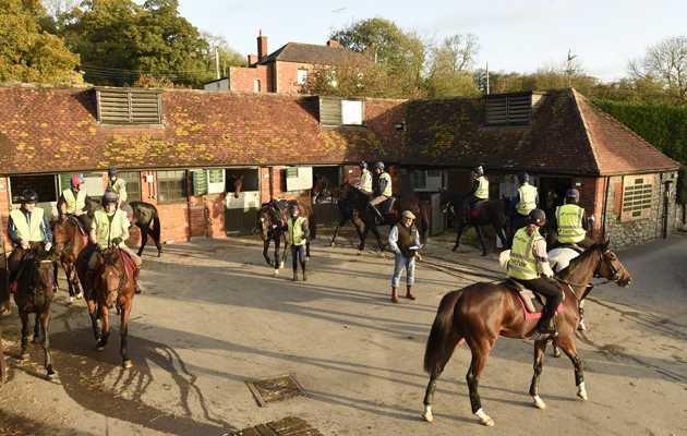 Day in the life Paul Nicholls