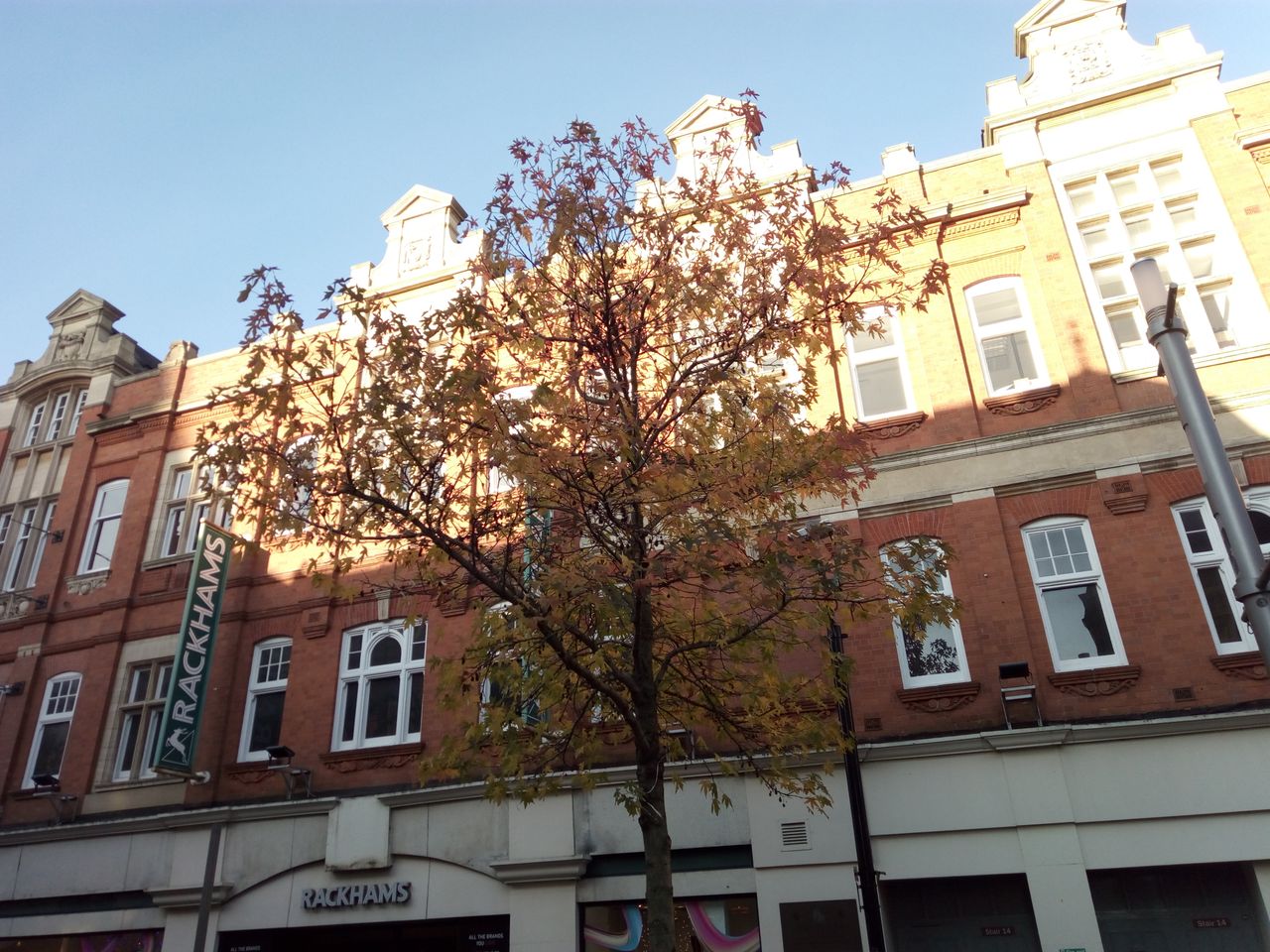 Even in well-illuminated scenes the X4 fails to accurately capture colours, like the leaves on this tree &ndash; in reality they looked a lot more vivid